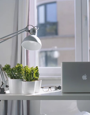 View of a macbook laptop, pair of glasses, table lamp, and plants on a desk.