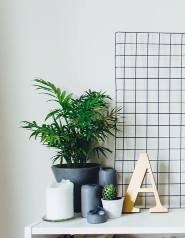 View of candles, desk accessories, and plants on a table.